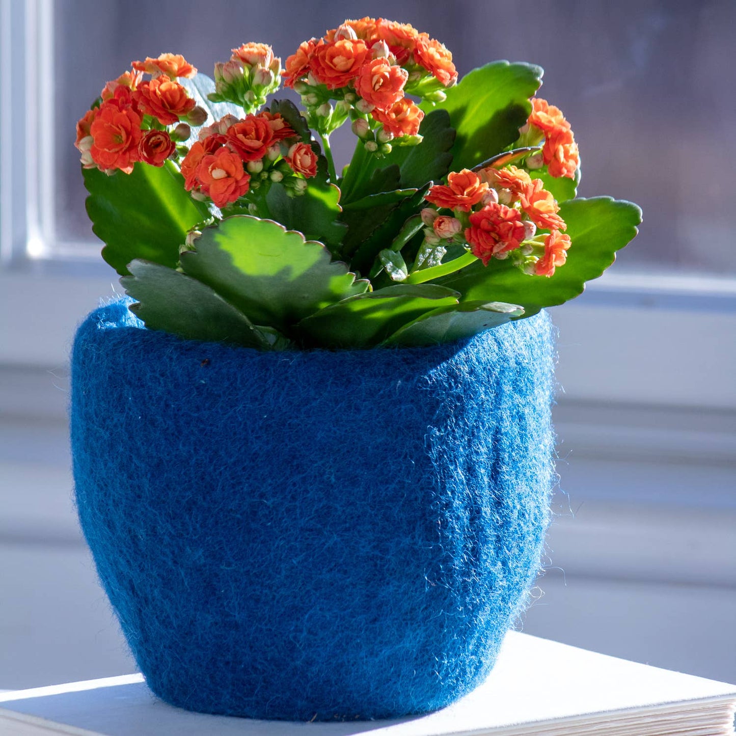 Dragonfly Plant Hanger