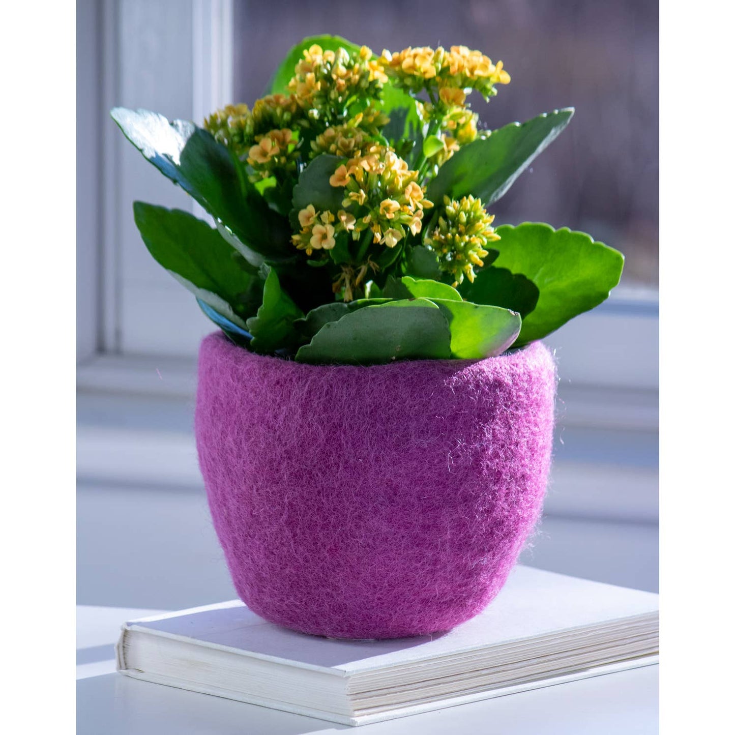 Dragonfly Plant Hanger