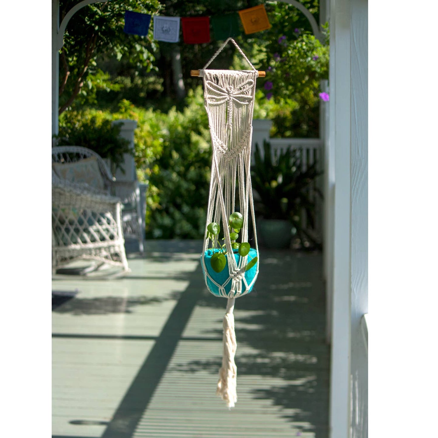 Dragonfly Plant Hanger