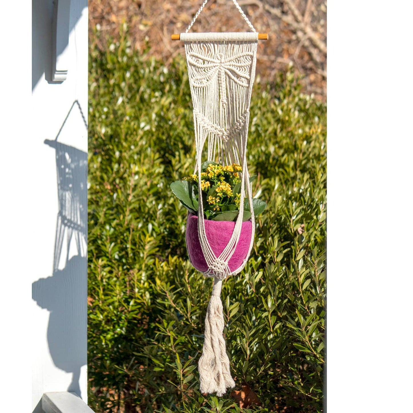 Dragonfly Plant Hanger
