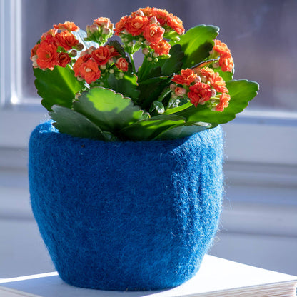 Dragonfly Plant Hanger