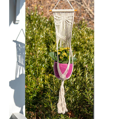 Dragonfly Plant Hanger
