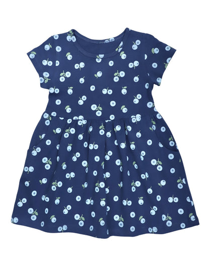Little Blueberry Organic Twirl Dress - Passion Lilie