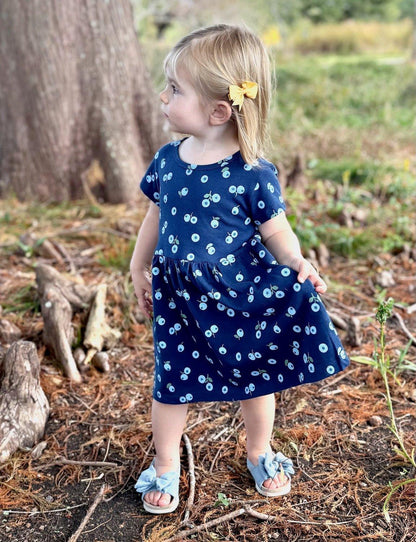 Little Blueberry Organic Twirl Dress - Passion Lilie