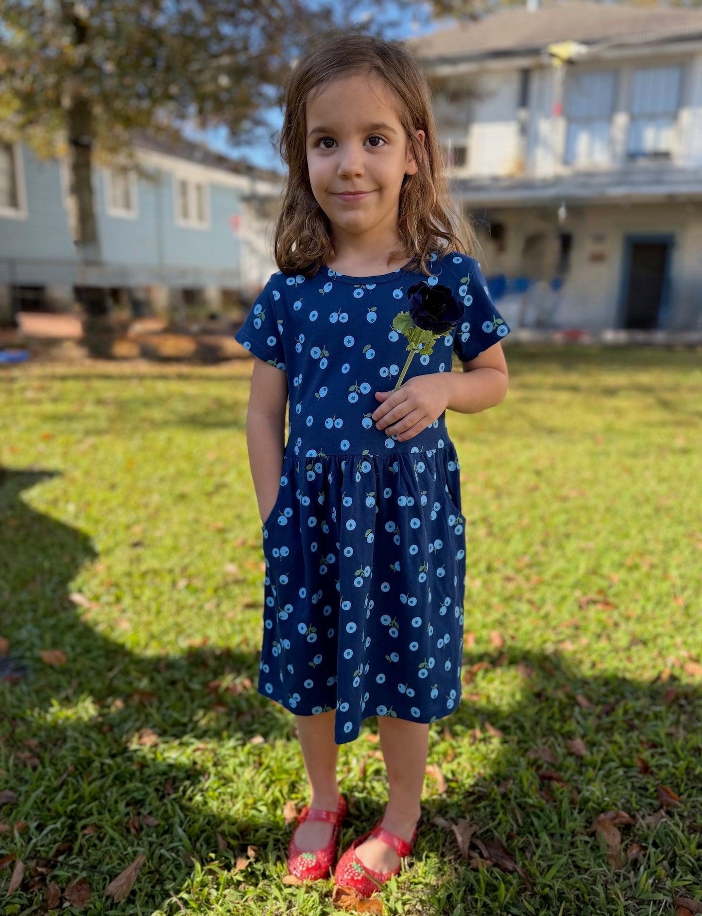 Little Blueberry Organic Twirl Dress - Passion Lilie