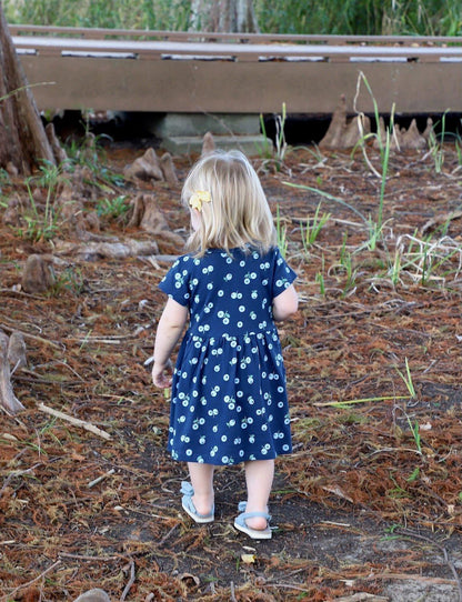 Little Blueberry Organic Twirl Dress - Passion Lilie