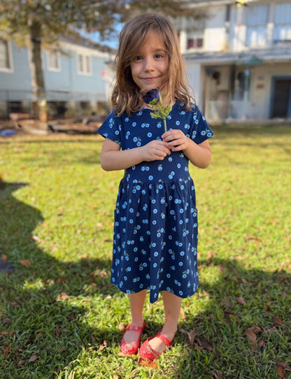 Little Blueberry Organic Twirl Dress - Passion Lilie