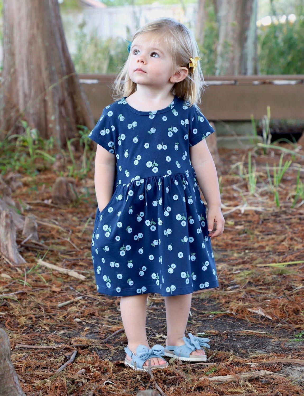 Little Blueberry Organic Twirl Dress - Passion Lilie