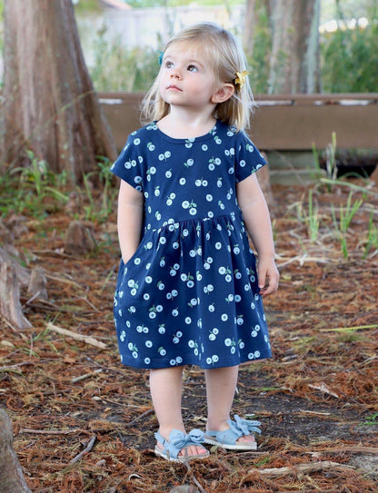 Little Blueberry Organic Twirl Dress - Passion Lilie